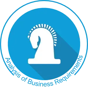 Business Requirements